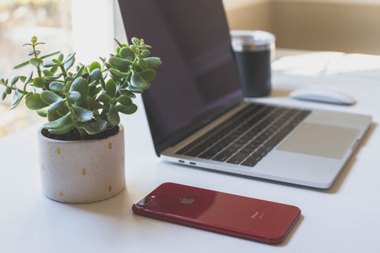 Photo by Dayne Topkin on Unsplash